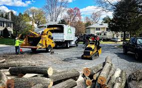 Reliable Suisun City, CA Tree Removal and Landscaping Services Solutions